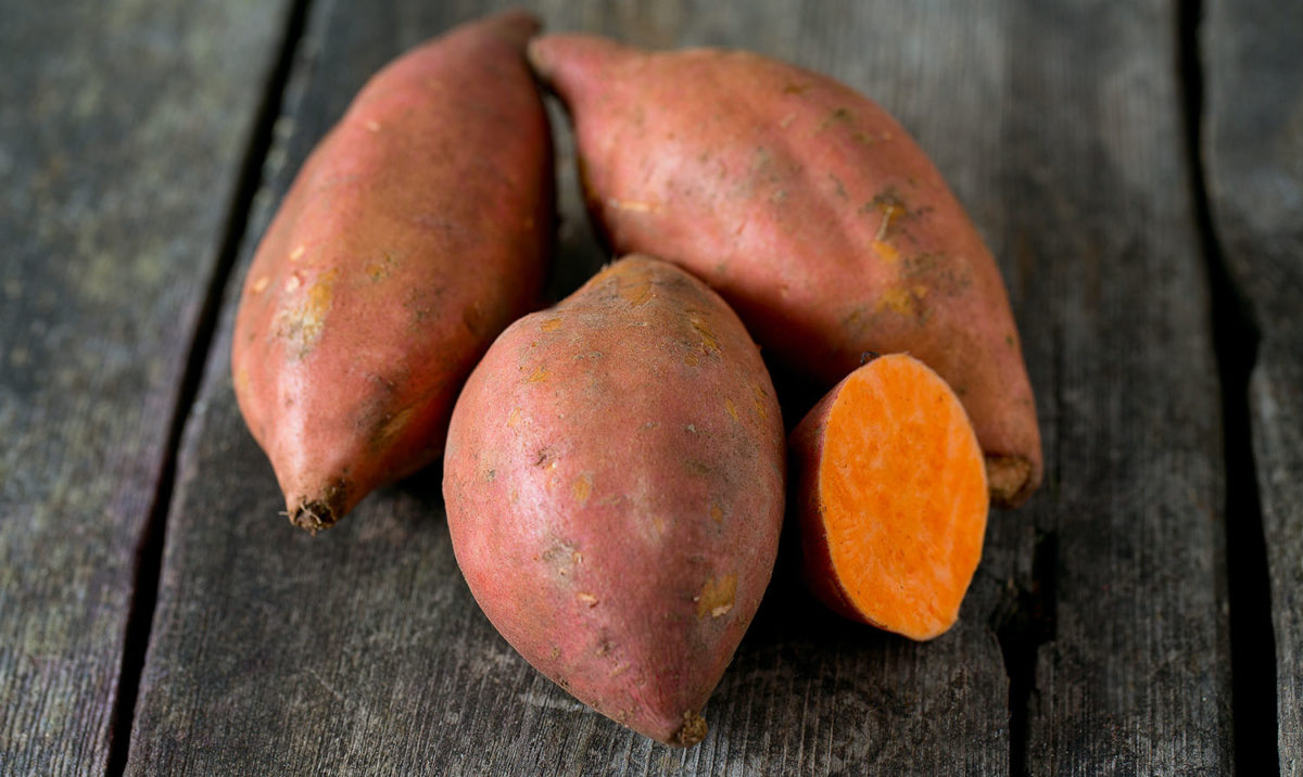 First sweet potato trials